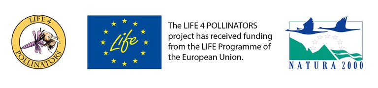 logo definitivo di life for pollinators