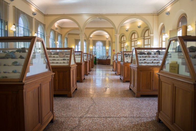 Sala collezione di Mineralogia