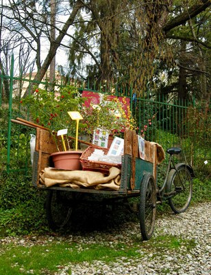 Foglia express in Orto Botanico con piante