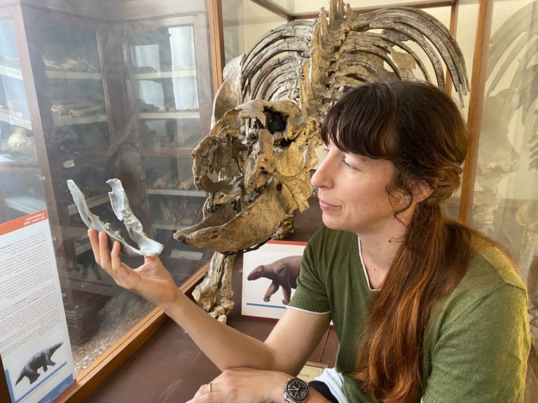 Collezione di Geologia "Museo Giovanni Capelini" - Michela Contessi con lo scelidoterio