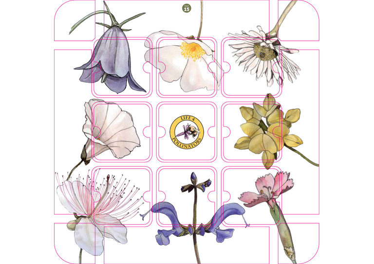 Logo mostra LIFE4Pollinators