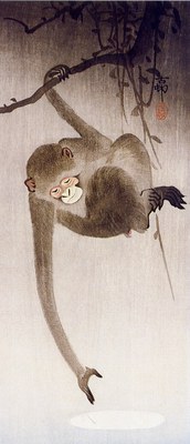 Ohara Koson Scimmia