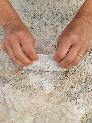 Maria Teresa Sartori