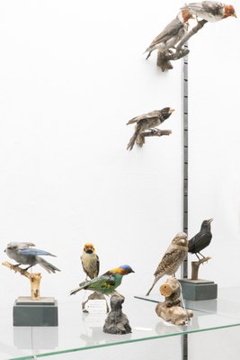 the floating collection