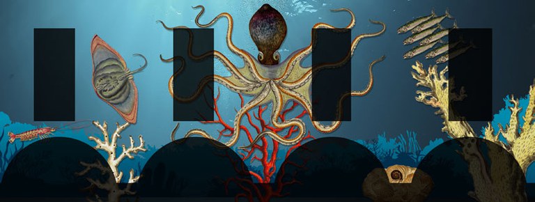 Acquerelli di Ulisse Aldrovandi proiettati sui palazzi di piazza Scaravilli Acquerelli di Ulisse Aldrovandi proiettati sui palazzi di piazza Scaravilli