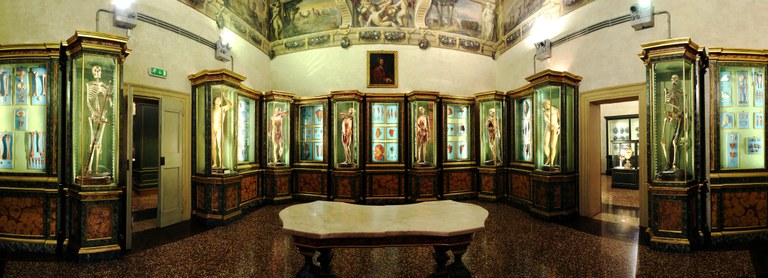 Sala di Anatomia Museo di Palazzo Poggi
