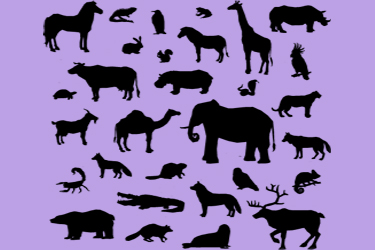Animal Quiz Show - Sfondo viola con animali in bianco 