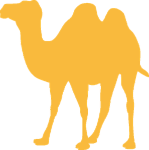 Disegno cammello