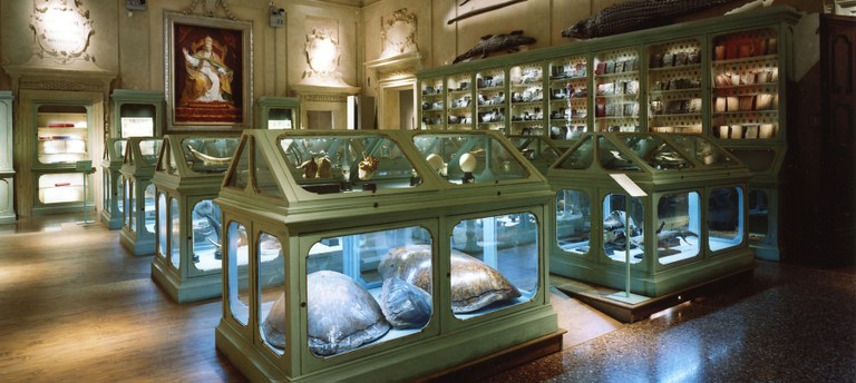 Sala Aldrovandi - Museo di Palazzo Poggi