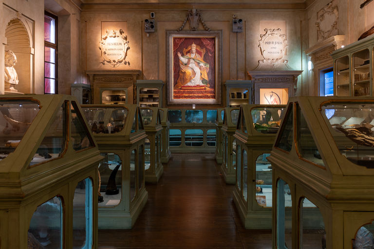 Mosaico raffigurante papa Benedetto XIV all'interno del Museo di Palazzo Poggi Mosaico raffigurante papa Benedetto XIV all'interno del Museo di Palazzo Poggi