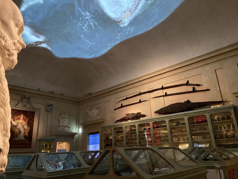 Sala Aldrovandi del Museo di Palazzo Poggi