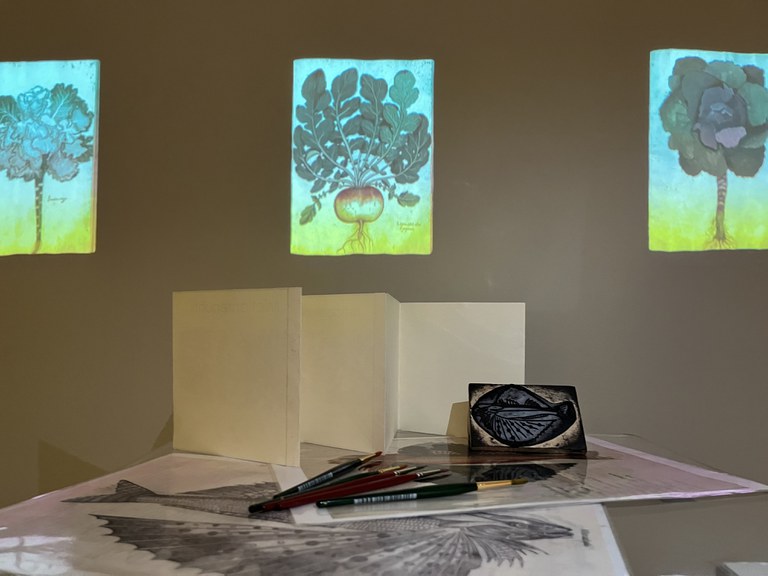 Matrici xilografiche di Ulisse Aldrovandi Matrici xilografiche di Ulisse Aldrovandi