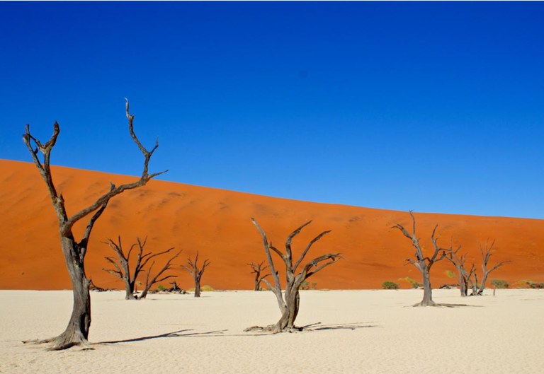 Deserto del namib