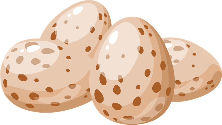 Disegno di uova