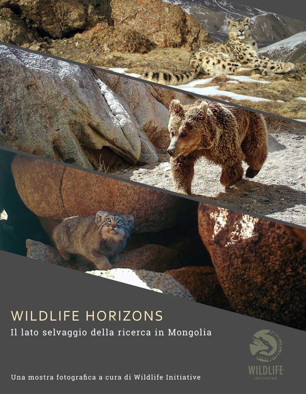 Locandina mostra "Wildlife Horizons"
