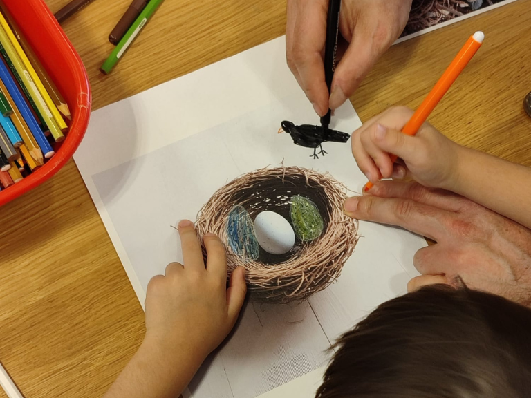 Immagine per Famu 2025 con dettaglio di mani di bambino che colorano il disegno di un nido di uccello
