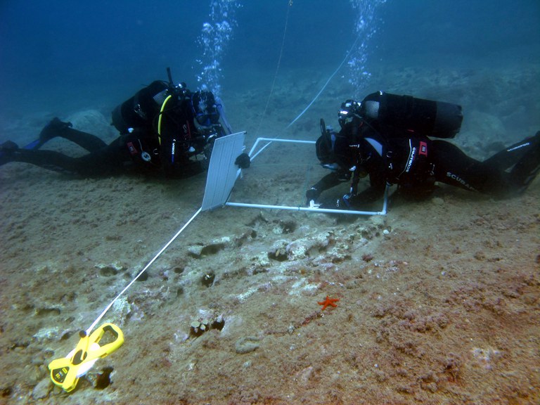 Fotografia di sub Fotografia di sub