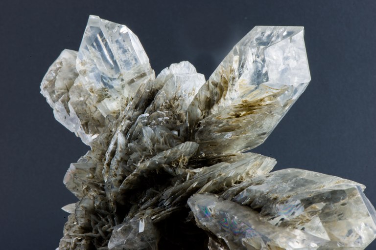 Aggregato a "rosa" di cristalli prismatico-lenticolari di gesso selenitico, proveniente da Castel de' Britti, Bologna e conservato presso la Collezione di Mineralogia “Museo Luigi Bombicci”.  © Sistema Museale di Ateneo – Università di Bologna | ph. Francesca Bargossi. 