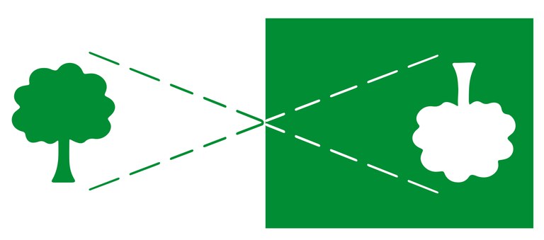 Riflesso camera oscura