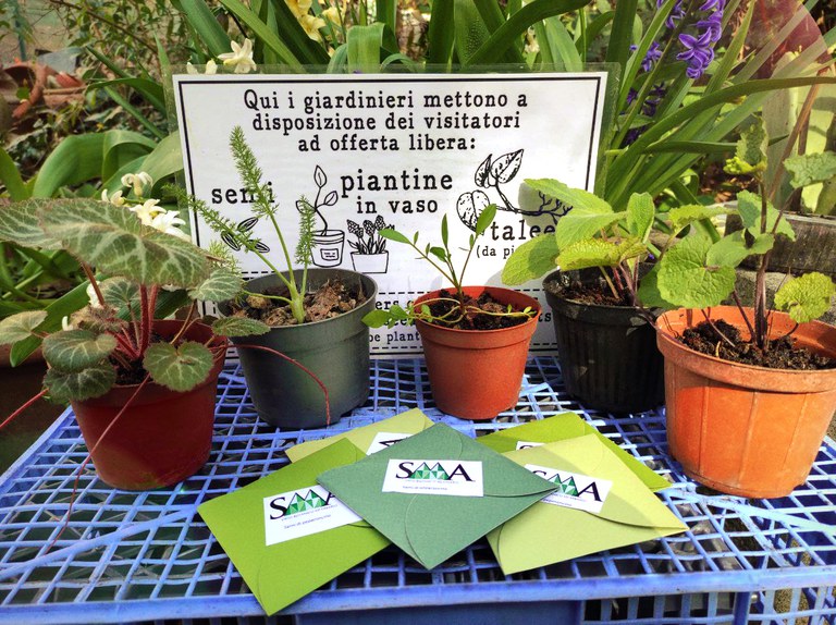 Vasi e bustine di semi dell'Orto Botanico Vasi e bustine di semi dell'Orto Botanico