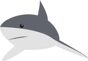 Disegno di squalo