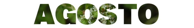 agosto