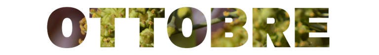 ottobre