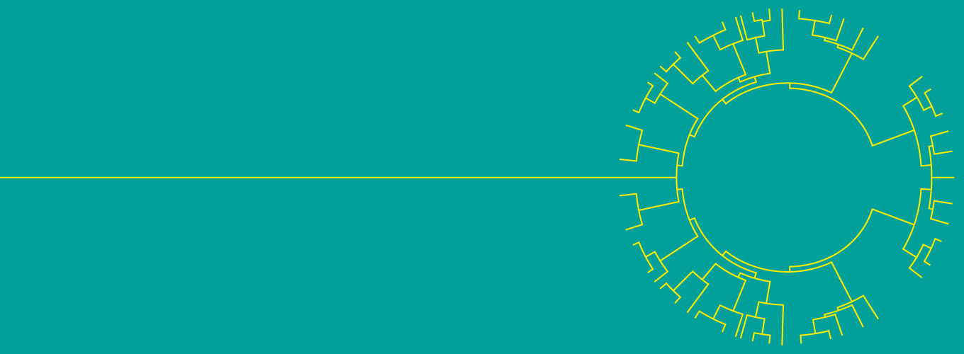 Cosa non capiamo dell'evoluzione?