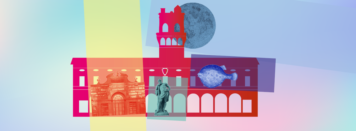 Grafica apertura nuovi Musei Poggi