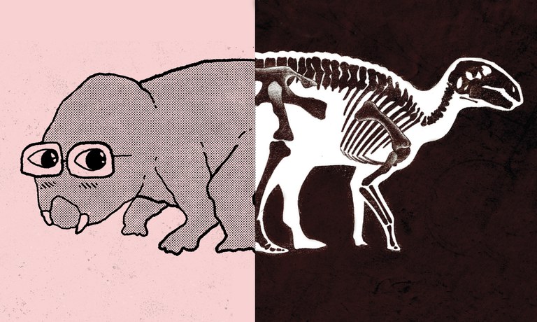 Grafica incontro Un libro al Museo organizzato nell'ambito di BOOM! Mostra il fossile di un dinosauro e la relativa illustrazione